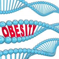 DNA and obesity