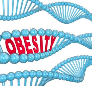 DNA and obesity